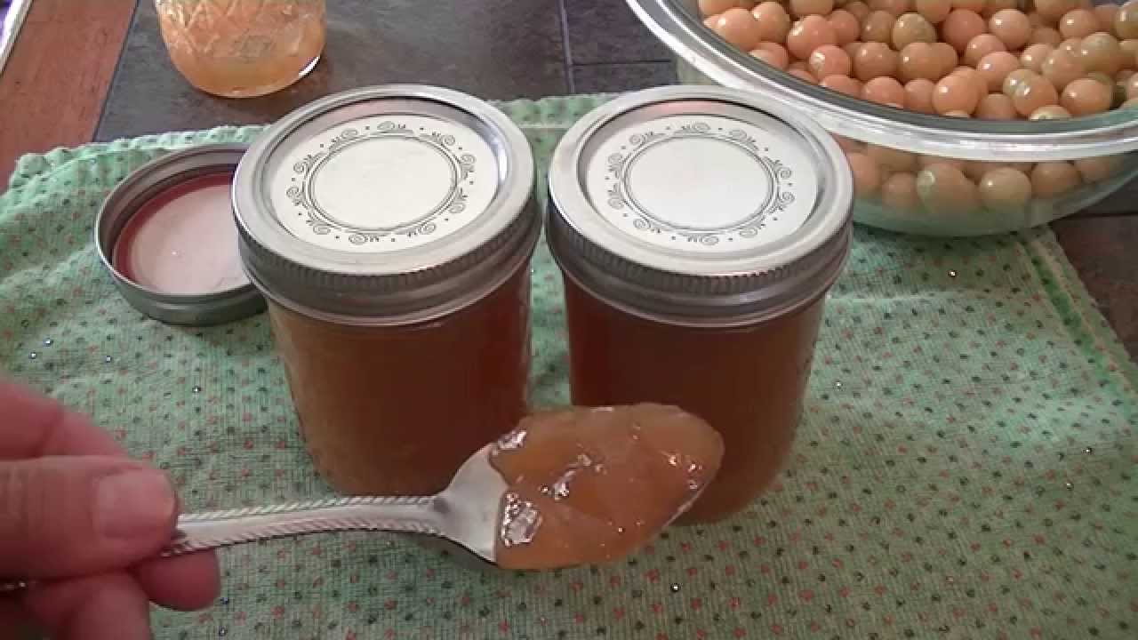Ground Cherry Jelly Recipe YouTube