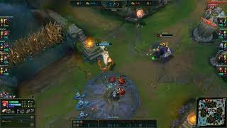 Zoe W Bug