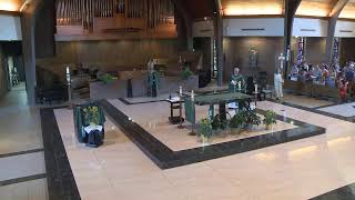 Fifteenth Sunday in Ordinary Time - Sunday 10am