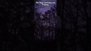 We Are Okay, Are You Okay?
