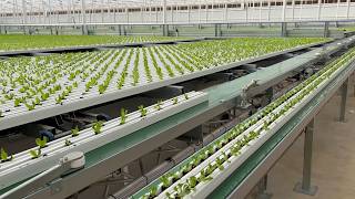 Details Fully Automated Single Level Moving Gutter System Update