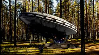 футаж СОСНЫ UFO