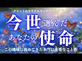 【永久保存版♾️】今、とても大切なこと😳💗どこまでも細密に伝えてくれています💖タロット&オラクルカードリーディング/深掘り個人鑑定級