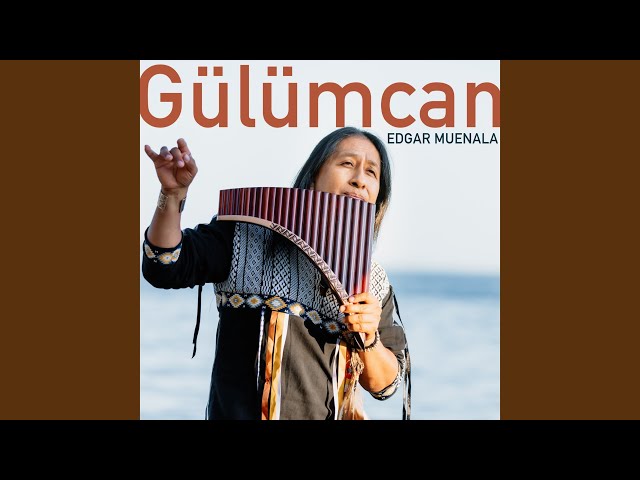 Gulumcan the Rose