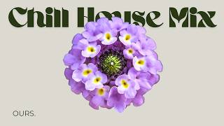 Chill House for Clear Focus | Soft Energy and Steady Flow