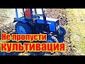 Трактор БЕЛАРУС 920 с культиватором Культивирует огород КУЛЬТИВАЦИЯ огорода #vseklevo #синийтрактор