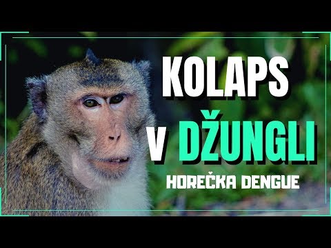 ⚠️ Horečka DENGUE / Otrava jidlem - THAJSKO