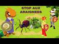 [BOUNE]XEL G9 COMBAT EPIC PVP DOFUS RETRO