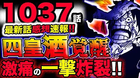 ワンピースルフィ