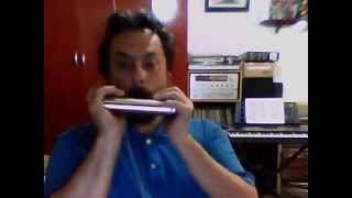 Ave Maria Gounod - Roger Benesi Harmonica Hohner 64 gaita chords