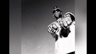 Prodigy - Avirex