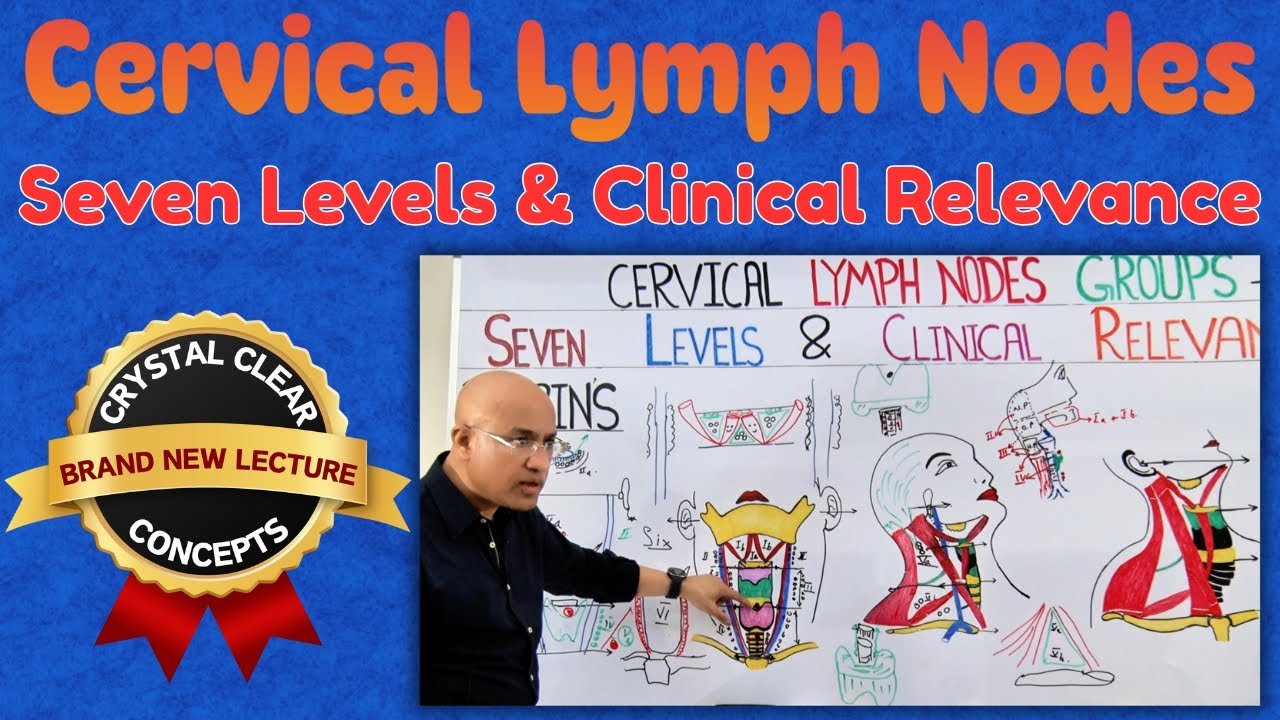 Cervical Lymph Nodes | Seven Levels by Robbins and Clinical Relevance
