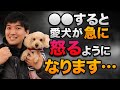 ●●すると愛犬が急に怒るようになります…