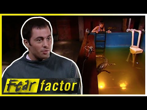 CHAMPIONSHIP Edition - Part 2 🏆| Fear Factor US | S02 E18 | Full Episodes | Thrill Zone