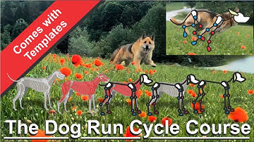 Dog run cycle course  - animated work created in Opentoonz 2D animation
