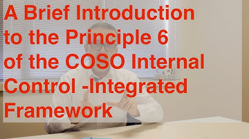 A Brief Introduction to the Principle 6 of the COSO Internal Control - Integrated Framework