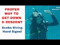 Proper way to get down sign  scuba diving hand signal