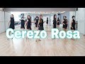 Cerezo Rosa- Line Dance (Improver
) Sally Hung