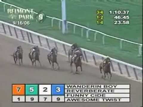 Wanderin Boy - 2006 Brooklyn Hcp. (read about his ...