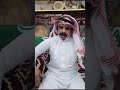 حجر سجيل معجزه من معجزات الخالق حجر سجيل معجزه من معجزات الخالق
