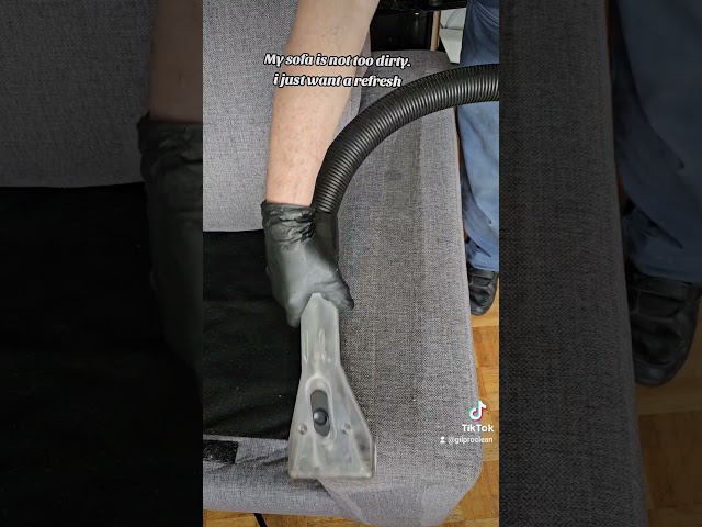 How to clean a very dirty #couch #carpet #satisfying #cleaning #matress #upholstery #microfiber
