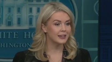Karoline Leavitt blasts Democrats over 36-day-long government shutdown