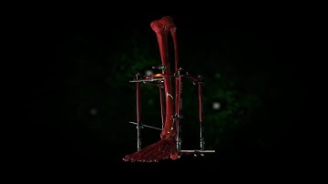 SEAL Speed Frame Video