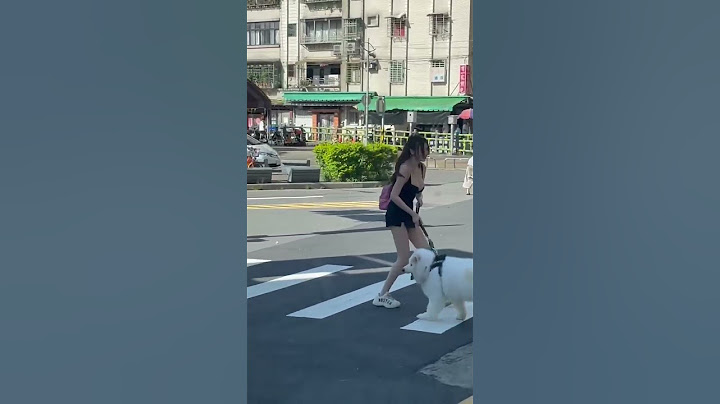 她携双导弹遛狗 司机乖乖礼让她
