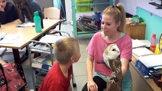 Lookie the barn owl visits school to teach kids about owls in a fun way + FUNNY MOMENTS