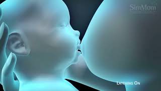 Watch this how-to video of the side lying position. it is a
breastfeeding position to feed your baby breast milk right way.