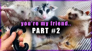 you my friend now we're having soft tacos later