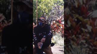 story wa lagu Bugis