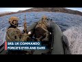 The eyes and ears of the uks commando force