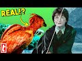 Harry Potter Practical Effects You Thought Were CGI