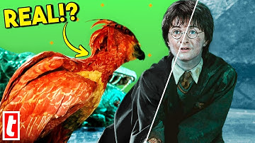 Harry Potter Practical Effects You Thought Were CGI