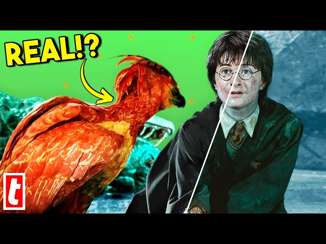 Harry Potter Practical Effects You Thought Were CGI class=