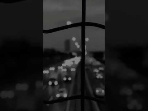 ای پرنده ی مهاجر زندگی شب موزیک