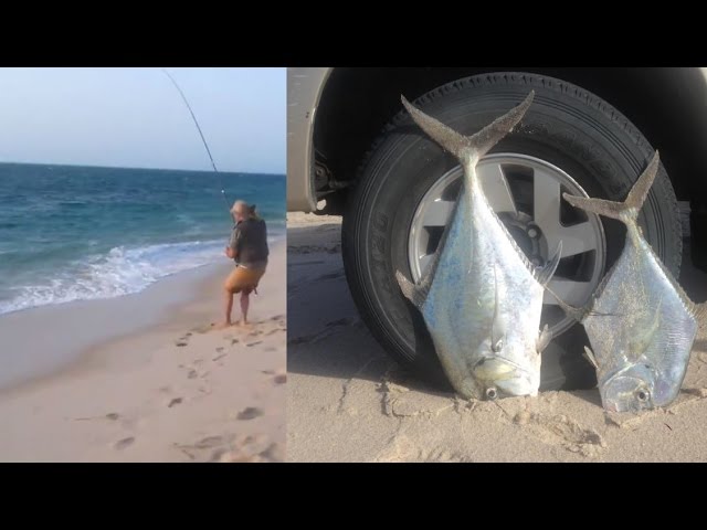 السلطة يدور في مدار خيبة الامل  صيد سمك الجمل العنيد بالسنارة و متعة الصيد - YouTube