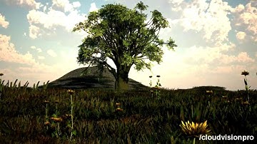 3DS Max (VRay + Vue) Animation