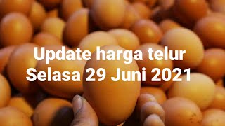 Harga Telur Ayam Hari Ini Selasa 29 Juni 2021 Youtube