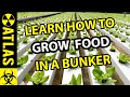 "Everything You Need to Know about Growing Food in a Bunker !!" Greencoast Hydroponics