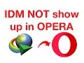 [FIXED] IDM does not show up in Opera