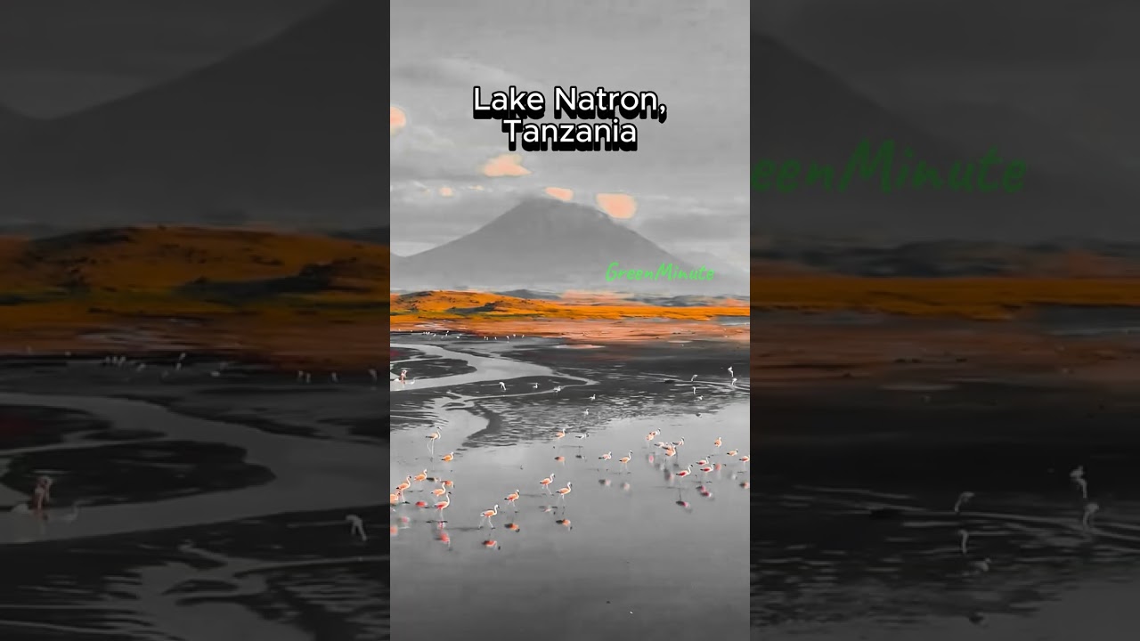 The Lake Turns Animals to Stone?! (But Here’s The Truth!) 