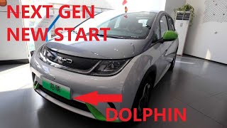 BYD Dolphin walk around