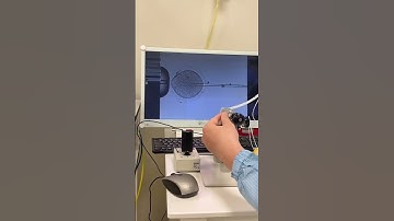 Cách tạo ra em bé IVF- ICSI tiêm tinh trùng vào bào tương noãn #IVF #hiemmuon #shorts