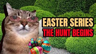 Cat Memes The Hunt Begins The Easter Roadtrip Special