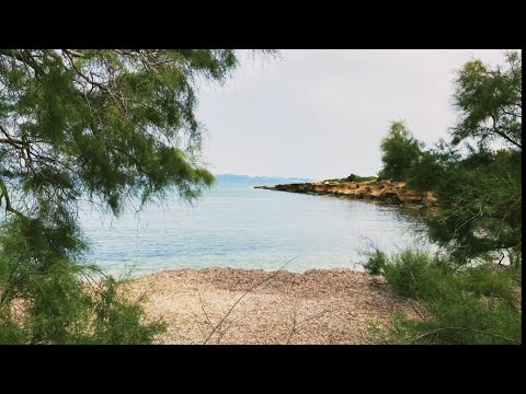 CALA DES CAMPS MALLORCA