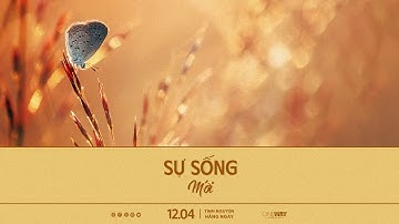 Sự Sống Mới | Oneway Radio - Tĩnh Nguyện Hằng Ngày 12/04/2023