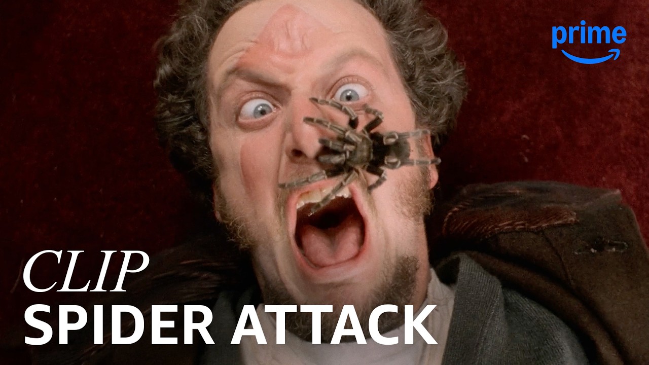 Marv’s Spider Scream | Home Alone | Clip | Prime Video