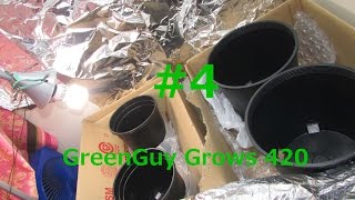 (3G) AFGOO WEEK 9 (FLOWERING) INDOOR CFL GROW UPDATE (CGG420)
